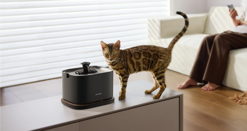 Dockstream 2 Smart Cordless Fountain