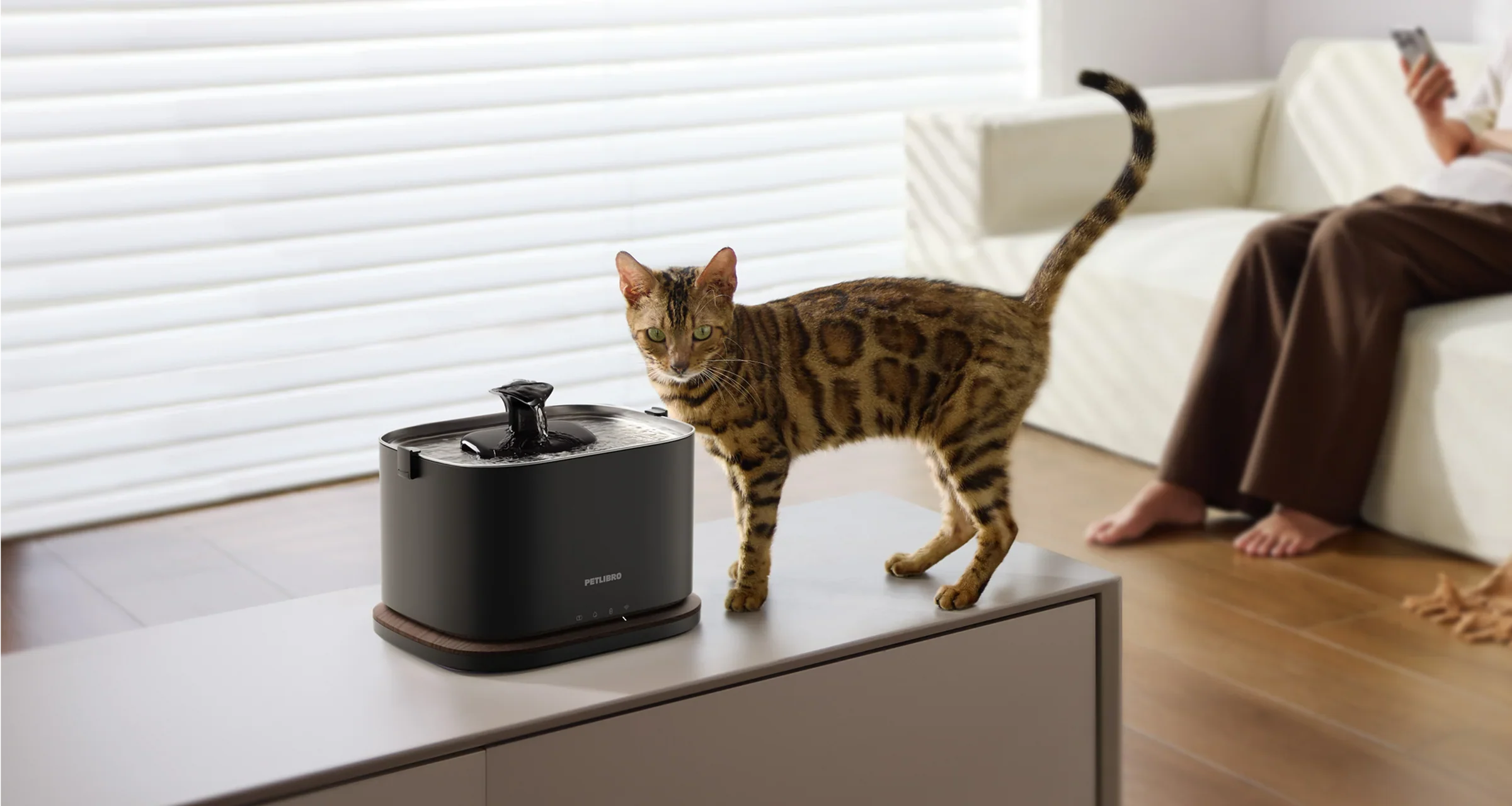 Dockstream 2 Smart Cordless Fountain