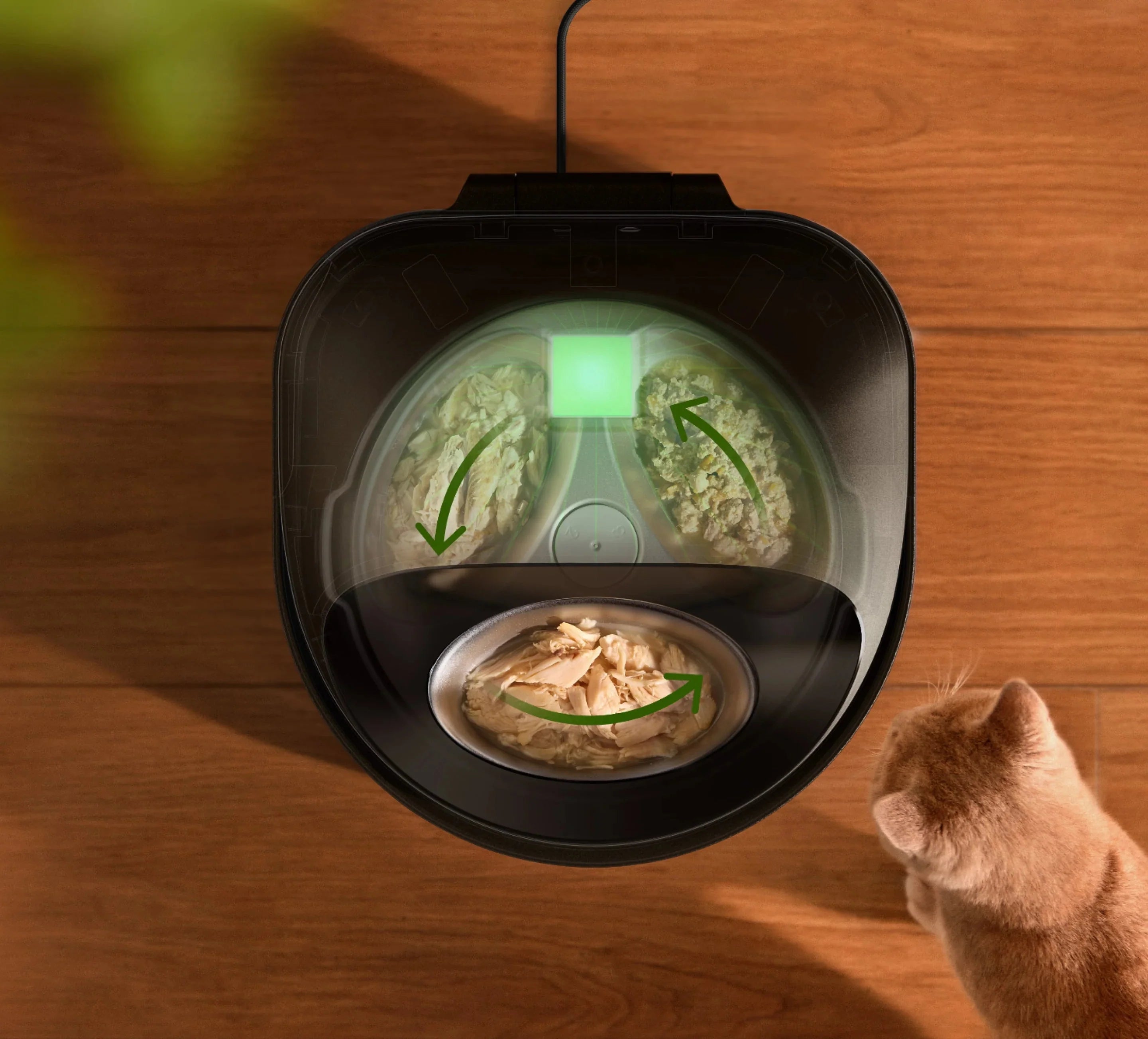 Polar Smart Wet Food Feeder