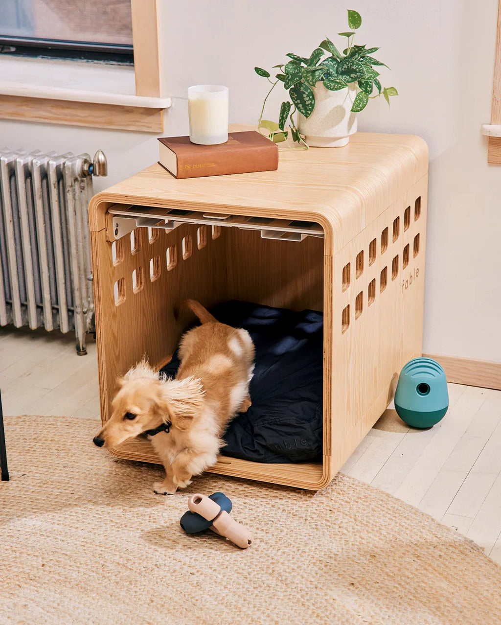dog Rest Set